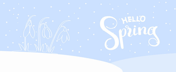 Hello spring - template for a cover or postcard, snowdrops bloom in the snow, vector illustration. Pastel background with white lettering words.
