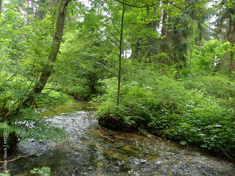 Wall mural Stream