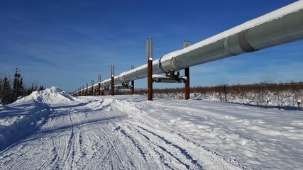 Famous Trans Alaska Pipeline; Shows a Long Perspective Section of the Pipeline in Alaska on a...