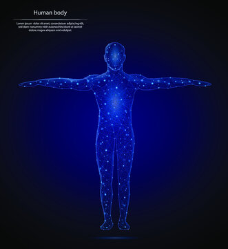 Abstract image of a human body consisting of points, lines, and shapes in the form of planets, stars and the universe. Low poly vector background. Anatomy