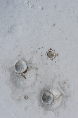 Water drop marks on slate dust
