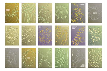 Biomedical brochure cover templates vector set.