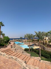 beach with palm trees