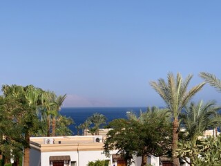 Fototapeta na wymiar trees on the beach luxury resort hotel