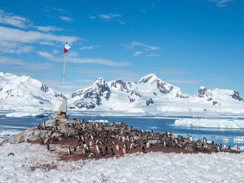 Gonzalez Videla Base, a Chilean Research Station in Paradise Bay