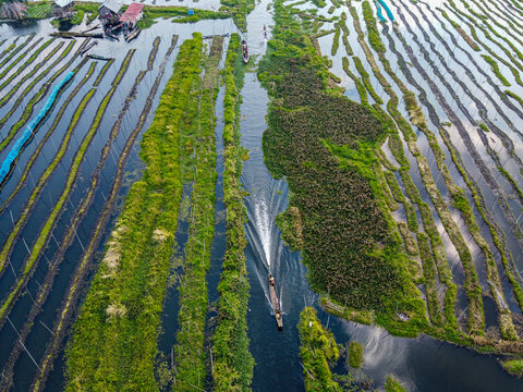 Aerial of the floating gardens, Inle Lake, Shan state