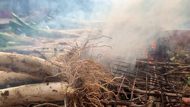 Cal&ccedil;ots