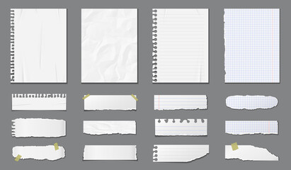 Set of different notebook pages and pieces of torn paper. Vector illustration