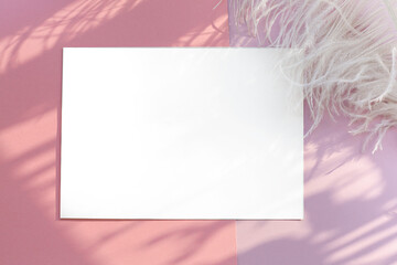 A blank layout of a sheet on a pink table lit by the sun. Delicate background with white fluffy feathers, the concept of minimalism.