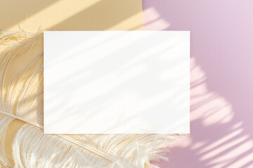 A blank layout of a white sheet on an abstract pink and beige table illuminated by the sun. Delicate background with white fluffy feathers, the concept of minimalism.