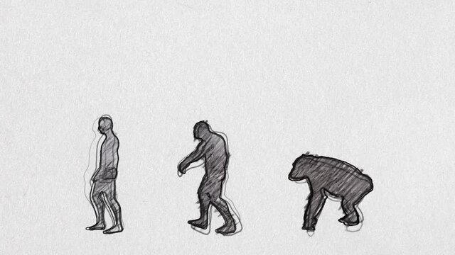 Human Evolution Timeline Walking Pencil Sketch in Seamless Loop