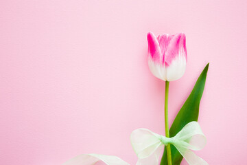 One tulip with green leaf on light pink table background. Pastel color. Empty place for inspirational, happy text, lovely quote or positive sayings. Top down view. Closeup.