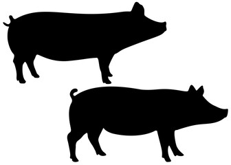 Pigs in the set. The pig is agricultural.