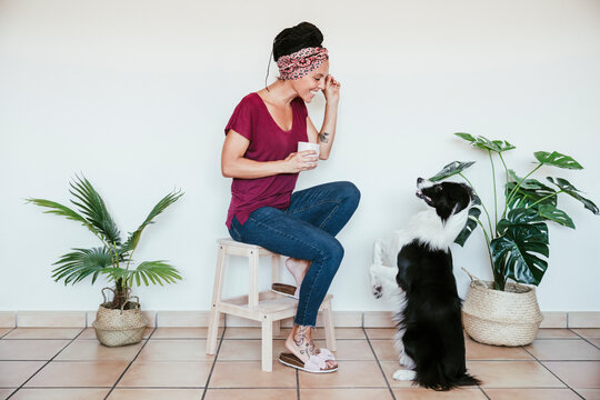 Smiling woman giving obedience training to Border Collie while sitting on stool at home