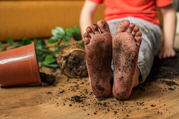 Kid sitting on the floor of the room with dirty feet. inverting flowerpot. Concept of failure. High...