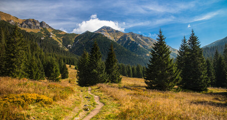Valley with hiking path in High Tatras mountains during indian summer in autumn, Belianske Tatry