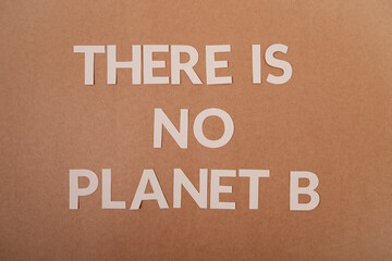 Fototapeta na wymiar There is no planet B letters on a craft paper