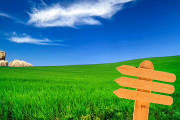blank wooden directional signs on green grass field