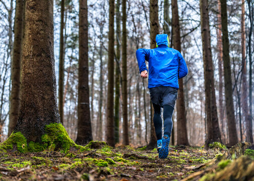 Male jogger with blue jacket running in forest