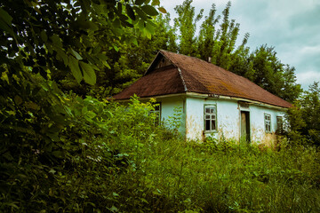 Abandoned clay house in a Ukrainian village. Old shack in the thicket