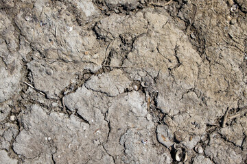 Surface of cracked dry soil with a high salt content