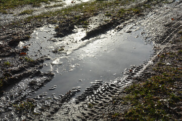 Muddy earth with grass in the evening light