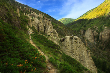 Obraz premium Stone mushrooms in Altai in the Akkurum tract in summer, a narrow alpine gorge with a path, slopes with grass and bushes, a sky with light clouds, sunny