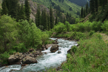 Rough mountain river with stones in the high-mountainous gorge Turgen in summer with a distant view of the gorge, slopes and rocks, grass, bushes and trees on the bank, path on the right, sunny