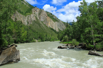 Fototapeta na wymiar A stormy white river with stones on the bank in a narrow alpine gorge in Altai in summer, green rocky mountain slopes, a forest grows on the banks of the river, a sky with clouds, sunny