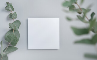 Real photo. square invitation card mockup with a eucalyptus branch. Top view with copy space, light...
