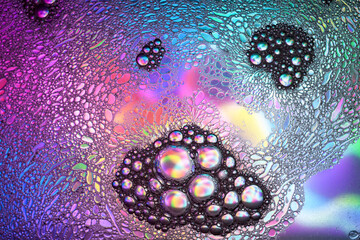 Colorful abstract background with organic shapes