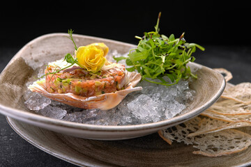 Salmon tartare with avocado, bread chips and lemon, on a plate, on a dark background, on an icy crash