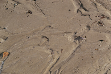 Outdoor view from above of a sand with water traces. Wet surface with flow shapes. Symbolic image of erosion of land due to the rainfalls. Natural background. Close up picture of sand in the river. 