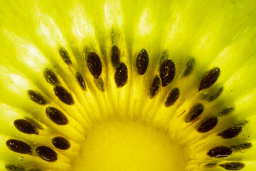 kiwi slice macro shot, detail of seeds