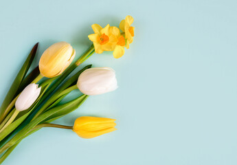 Yellow tulips on a blue background. Flat lay, top view. Concept of holiday, birthday, Easter, March 8