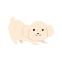 little dog french poodle character