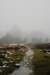 fog and rain in the nature 