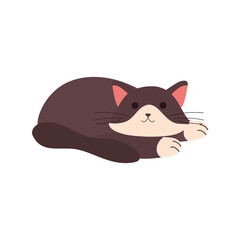 cute little cat feline sleeping character