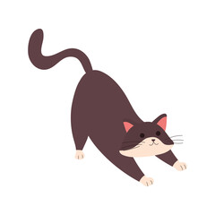 cute little cat feline character