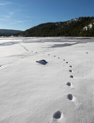 footprint on the snow