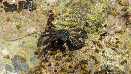 Summer Island Malediven