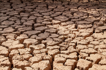 Dried, cracked soil in a desert oasis near Abu Dhabi, UAE