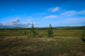 Fototapeta na wymiar Landscape of Polar Ural mountains by summer near Sob River and Kharp village, Russia