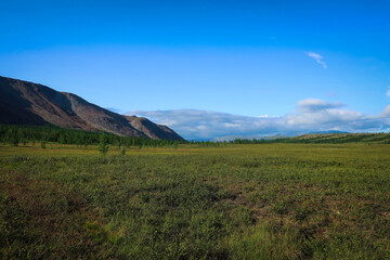 Naklejka na ściany i meble Landscape of Polar Ural mountains by summer near Sob River and Kharp village, Russia