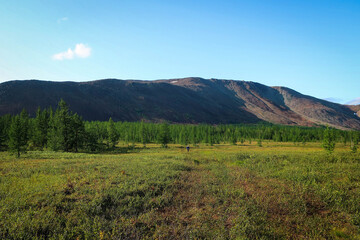 Fototapeta na wymiar Landscape of Polar Ural mountains by summer near Sob River and Kharp village, Russia