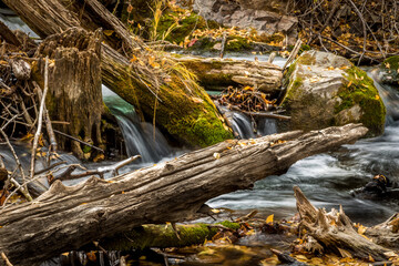 Long Exposure Close Up of River With Moss Covered Logs and Autumn Leaves