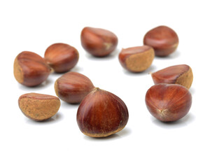chestnut on a white background