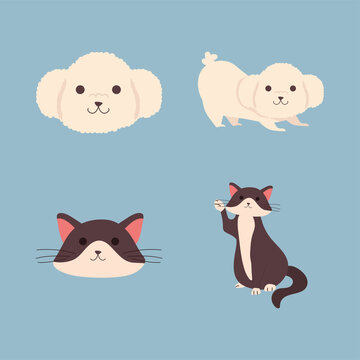 cute little dogs french poodles and cats characters