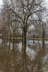 Obraz premium Allassac (Corrèze, France) - Garavet - Inondations hivernales de la Vézère