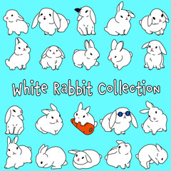 White Rabbit Collection